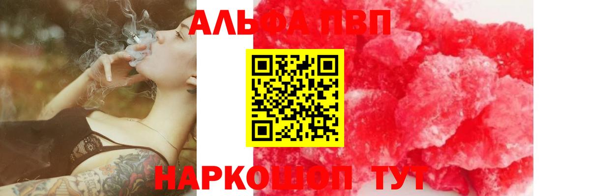 Alfa_PVP СК КРИС Ярославль