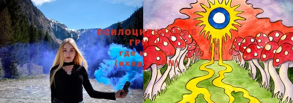 мяу мяу мука Михайловск