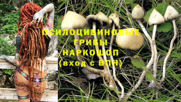 синтетический гашиш Михайловка