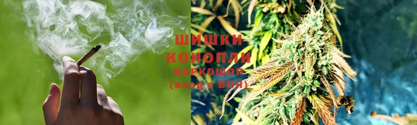 мяу мяу мука Михайловск