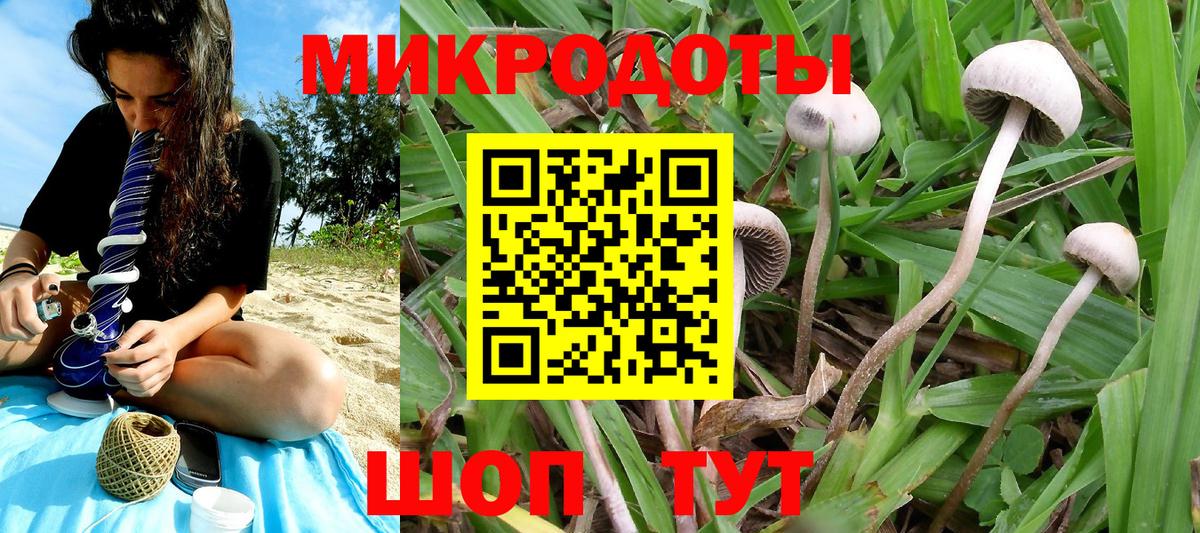 Ярославль  наркошоп  Вход с VPN  Псилоцибиновые грибы Cubensis 