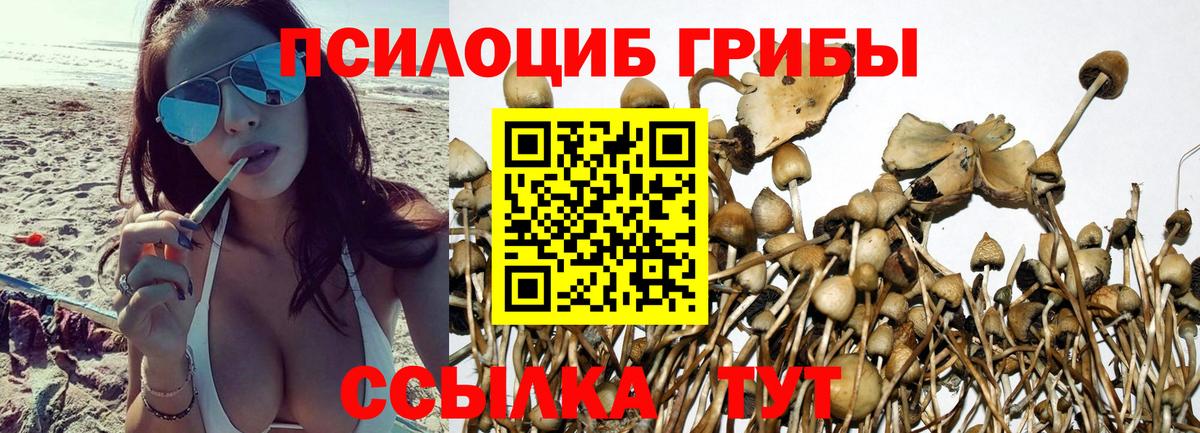 Галлюциногенные грибы ЛСД Ярославль