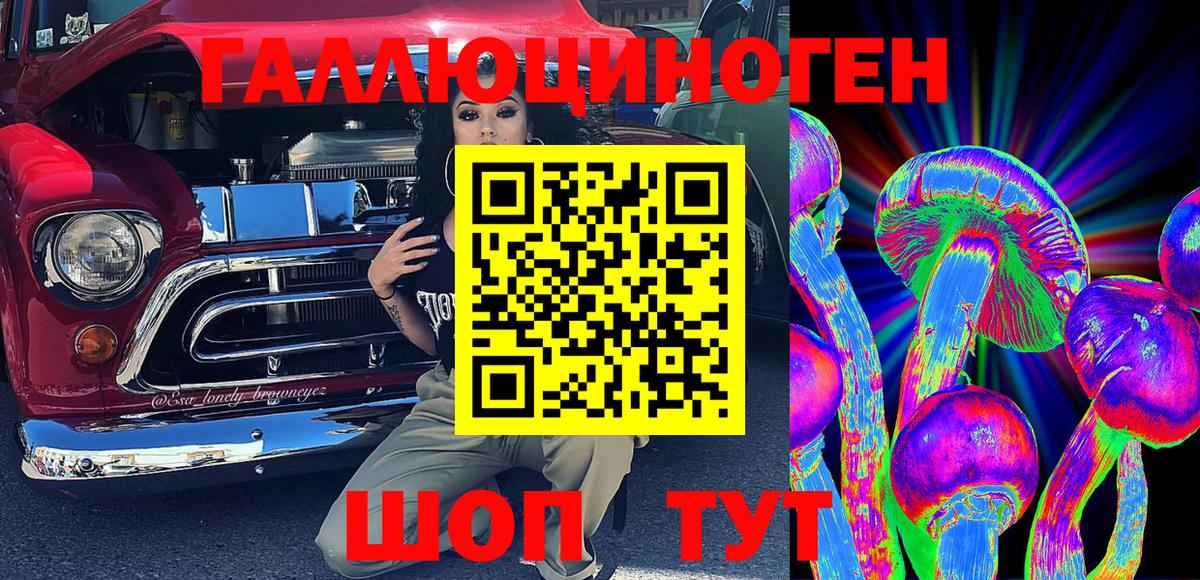 Псилоцибиновые грибы GOLDEN TEACHER  Ярославль  Псилоцибиновые грибы прущие грибы 